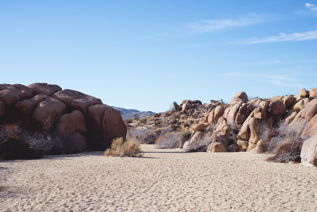 Unleashing the Wanderlust: Embracing the Magic of Outdoor Adventures Unleashing the Wanderlust: Embracing the Magic of Outdoor Adventures